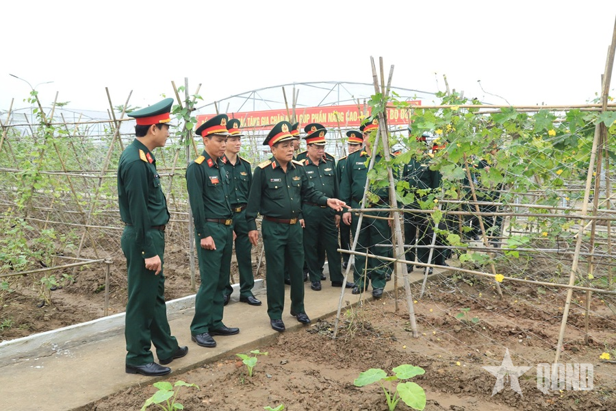 Hiệu quả từ mô hình điều phối sản phẩm tăng gia, sản xuất